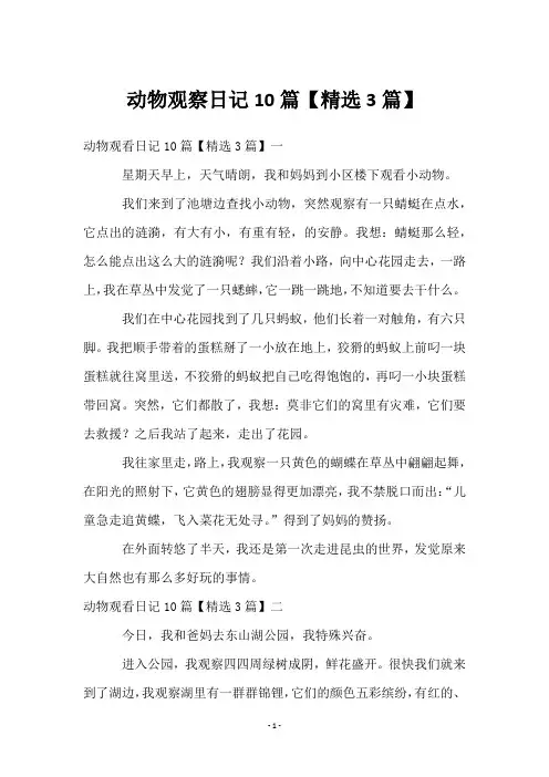 动物观察日记10篇【3篇】