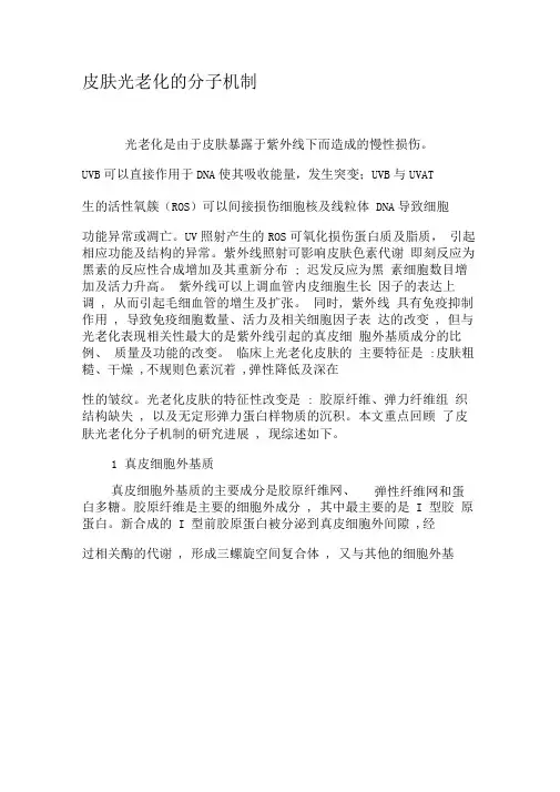 皮肤光老化的分子机制-精选资料