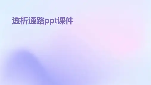 透析通路PPT课件