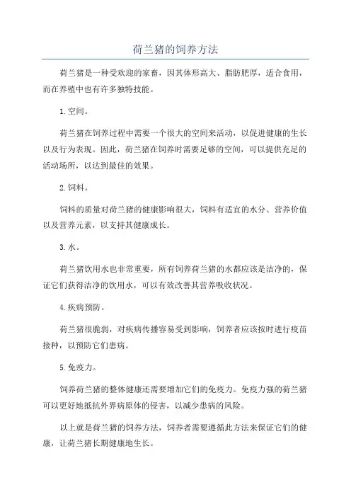 荷兰猪的饲养方法