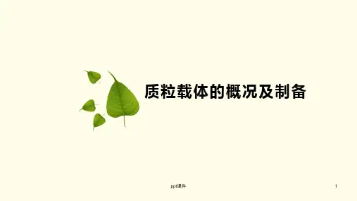 质粒载体的概况及构建  ppt课件