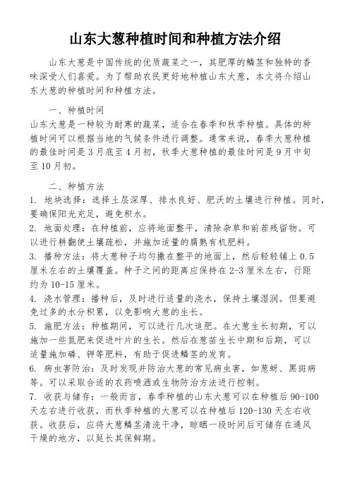 山东大葱种植时间和种植方法介绍