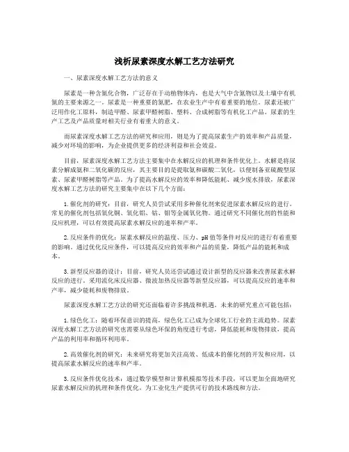 浅析尿素深度水解工艺方法研究