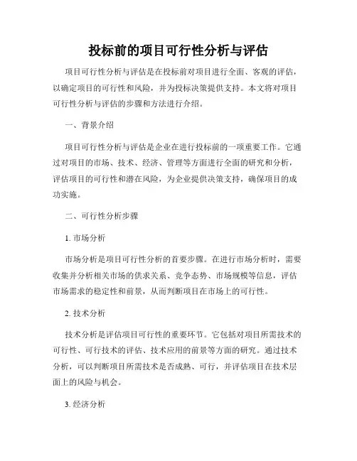 投标前的项目可行性分析与评估