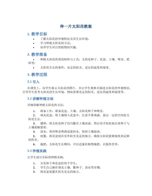 种一片太阳花教案