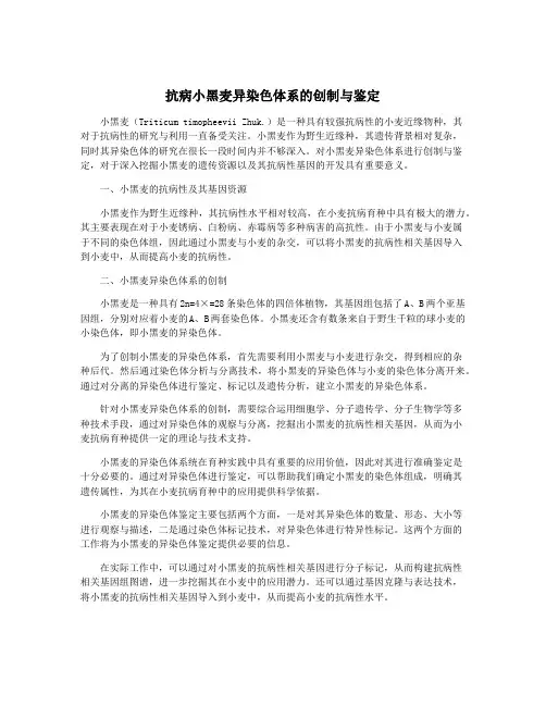 抗病小黑麦异染色体系的创制与鉴定