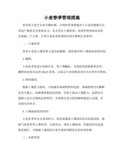小麦春季管理措施