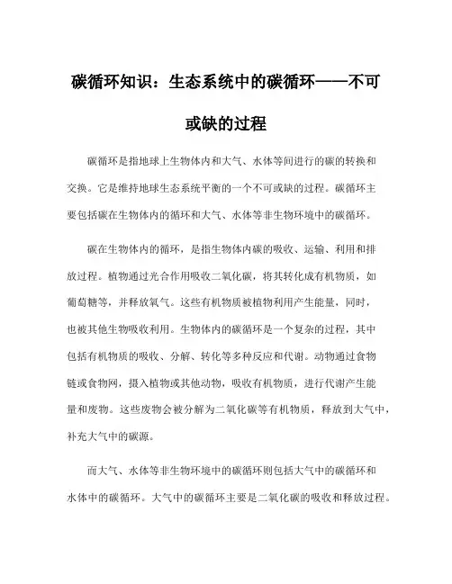 碳循环知识：生态系统中的碳循环——不可或缺的过程