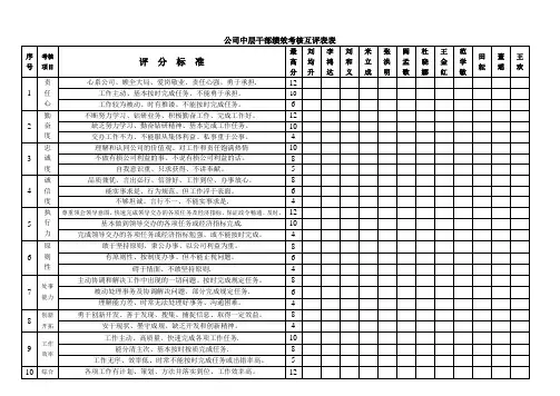 公司中层干部绩效考核互评表表