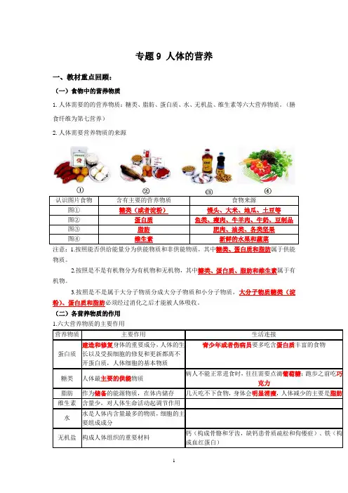 人教版生物中考一轮复习：人体的营养(解析版)