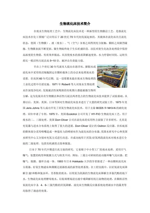 生物流化床技术简介.