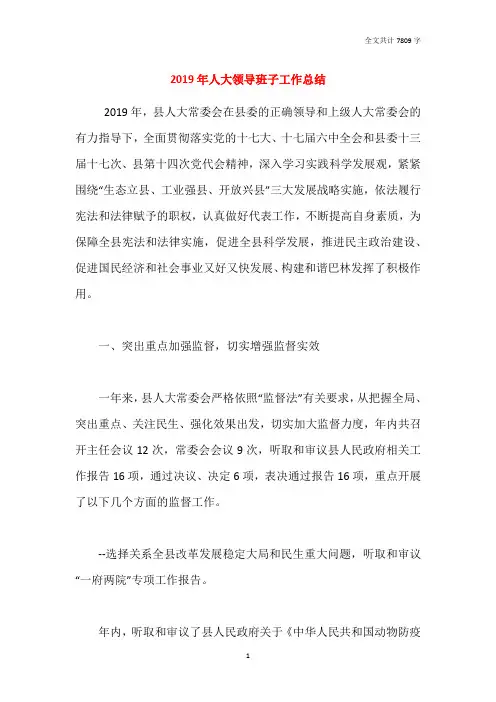 2019年人大领导班子工作总结