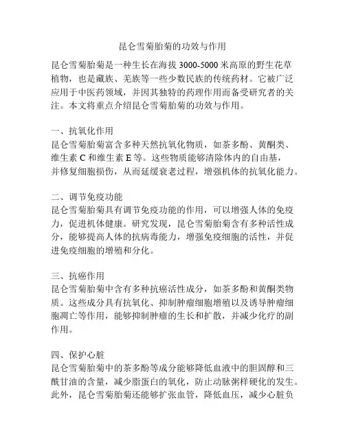 昆仑雪菊胎菊的功效与作用