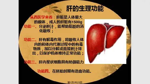 五脏的生理功能PPT课件