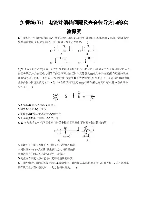 加餐练(五) 电流计偏转问题及兴奋传导方向的实验探究