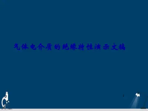 气体电介质的绝缘特性演示文稿