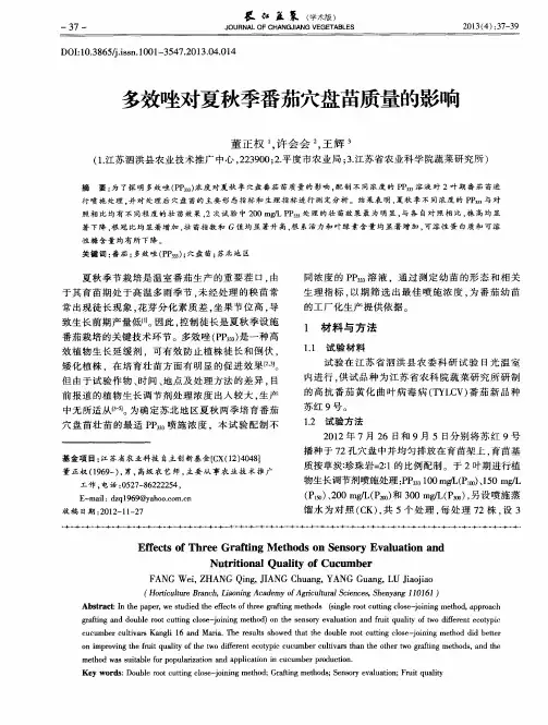 多效唑对夏秋季番茄穴盘苗质量的影响