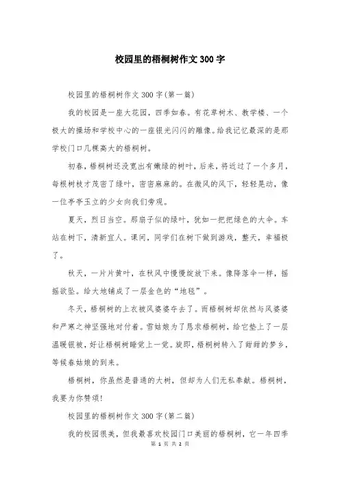 校园里的梧桐树作文300字
