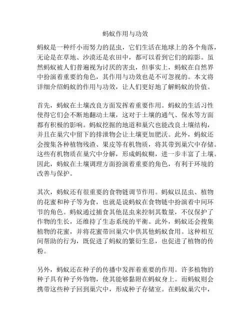 蚂蚁作用与功效