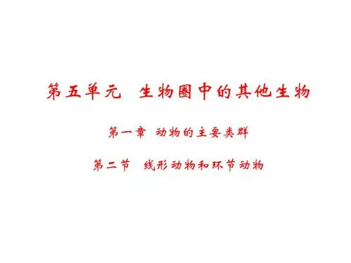 人教版八年级生物上册课件：第五单元 第一章  第二节   线形动物和环节动物(共20张PPT)