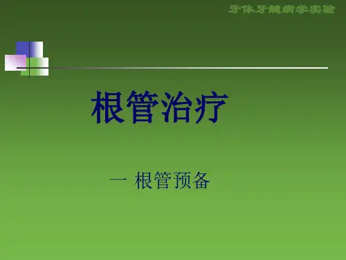 RCT根管治疗ppt(完整版)