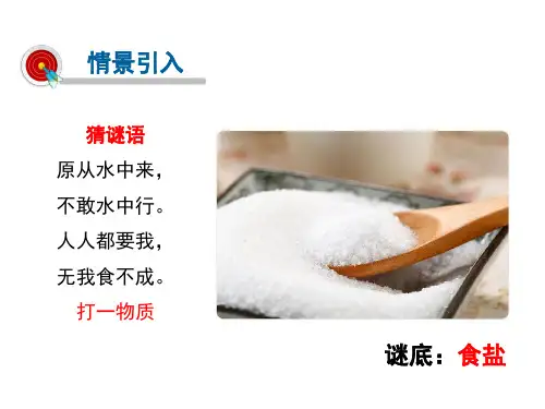 第11单元课题1生活中常见的盐ppt课件