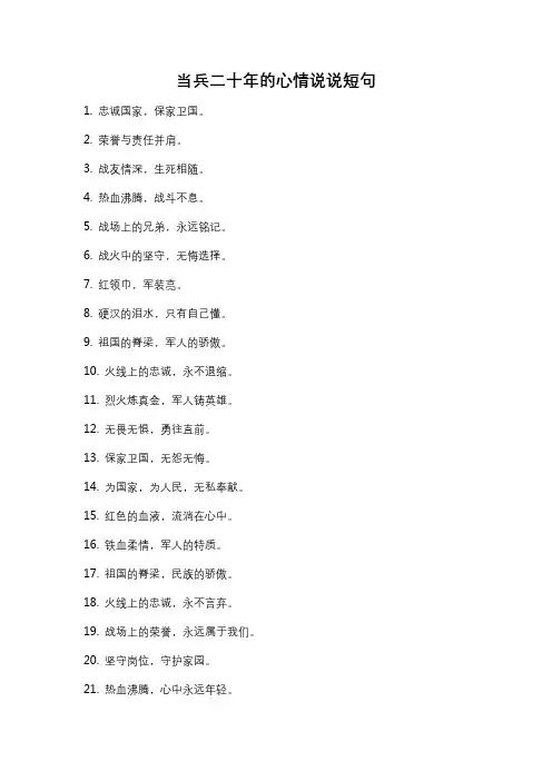 当兵二十年的心情说说短句