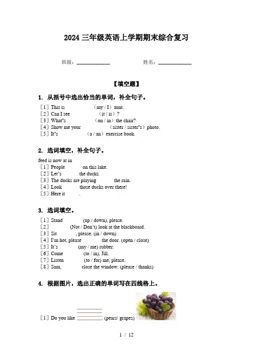 2024三年级英语上学期期末综合复习