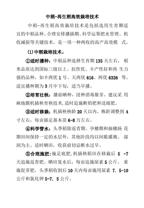中稻-再生稻高效栽培技术