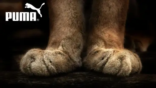 PUMA 品牌故事来源