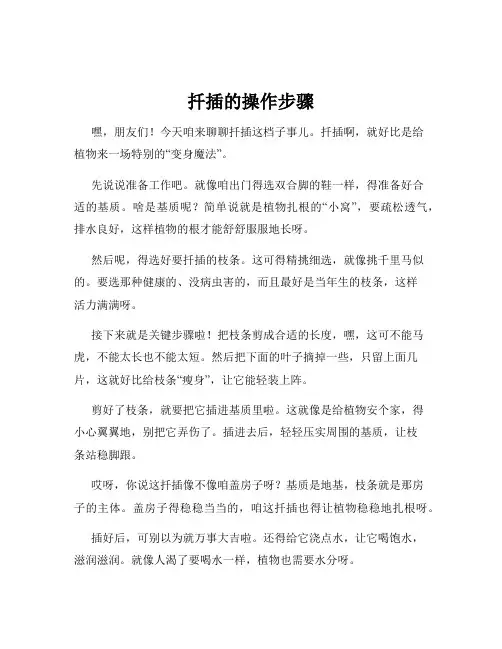 扦插的操作步骤