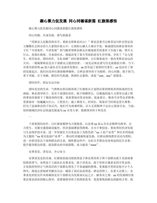 凝心聚力促发展 同心同德谋新篇 红旗渠感悟