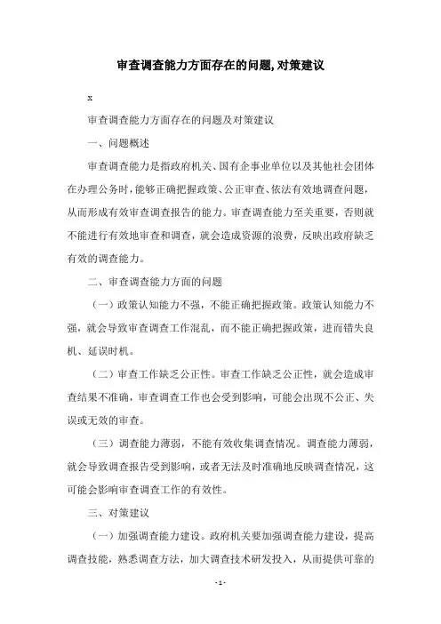 审查调查能力方面存在的问题,对策建议