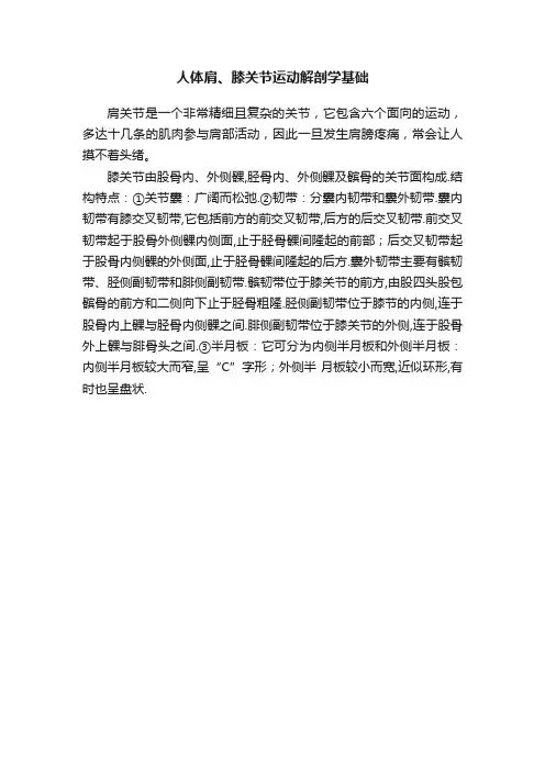 人体肩、膝关节运动解剖学基础