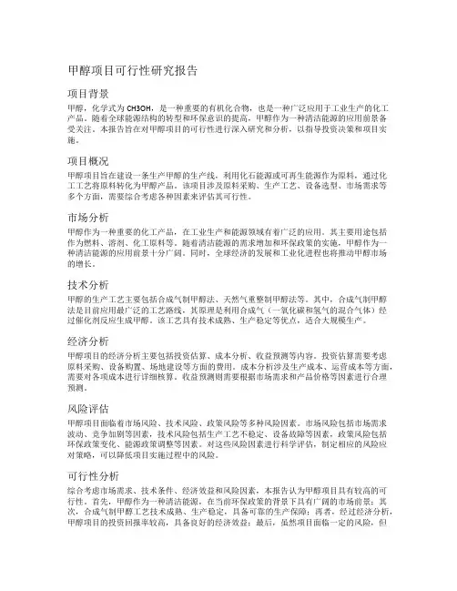 甲醇项目可行性研究报告