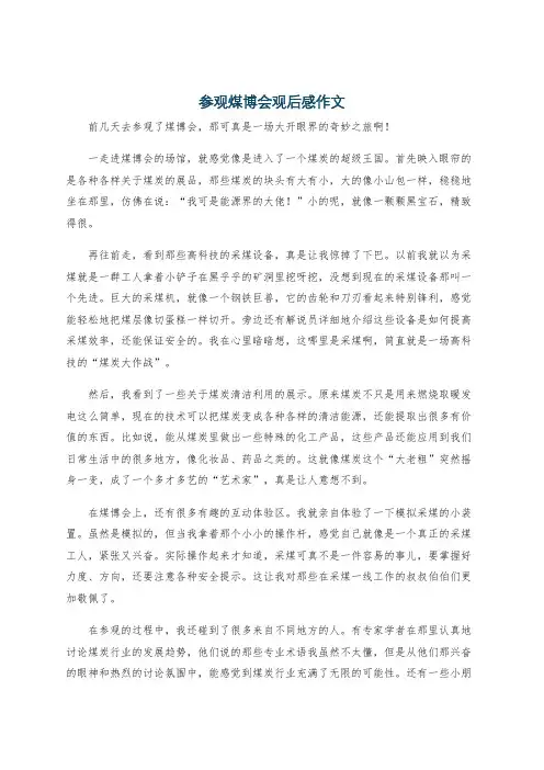 参观煤博会观后感作文