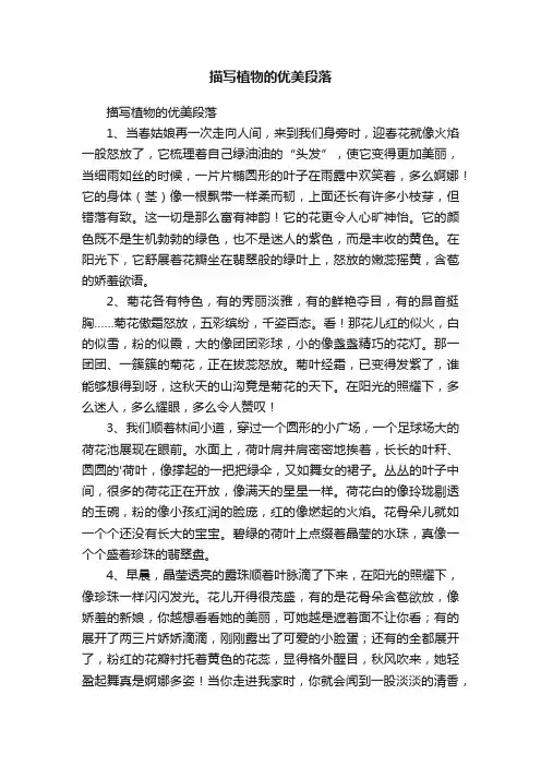 描写植物的优美段落