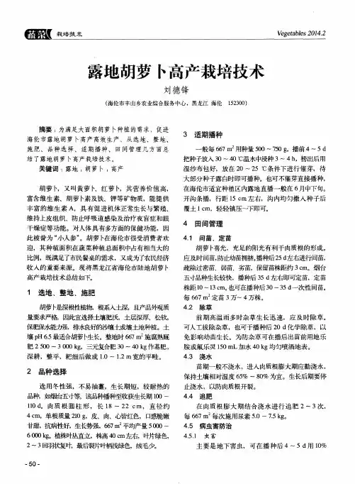 露地胡萝卜高产栽培技术