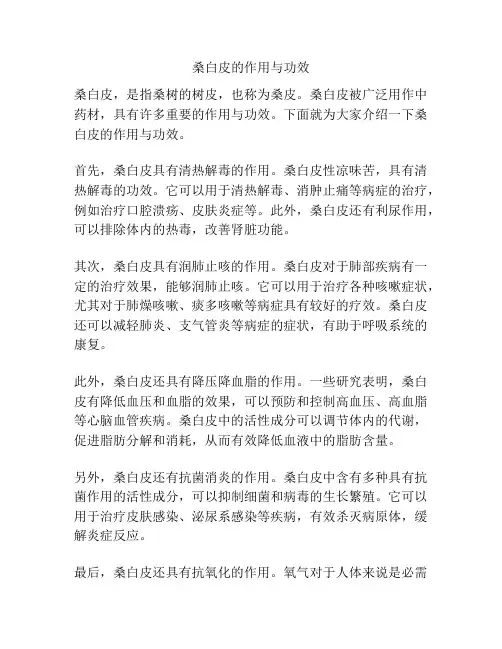 桑白皮的作用与功效
