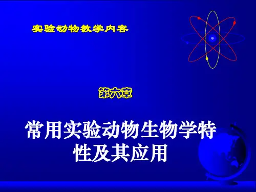 常用实验动物