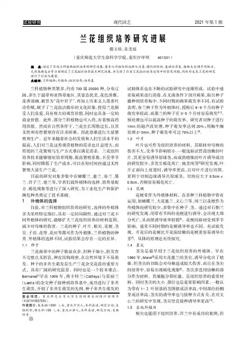 兰花组织培养研究进展