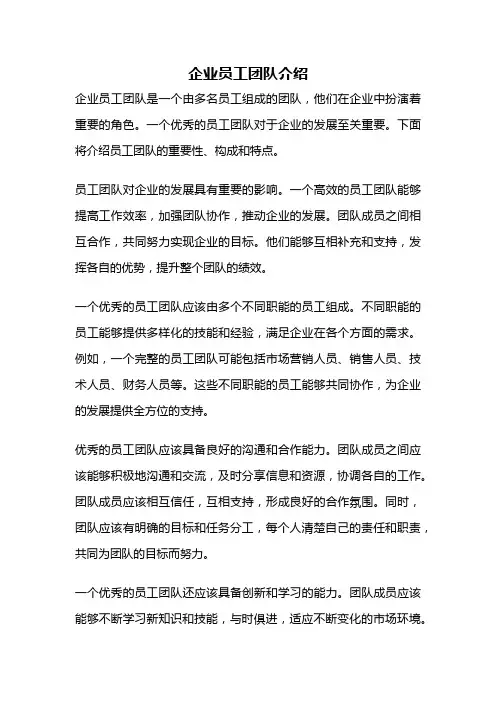 企业员工团队介绍