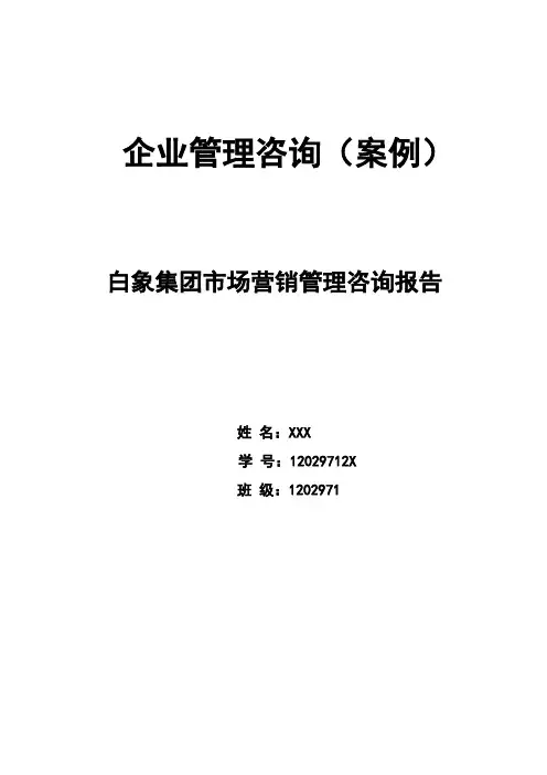 白象集团市场营销管理咨询报告