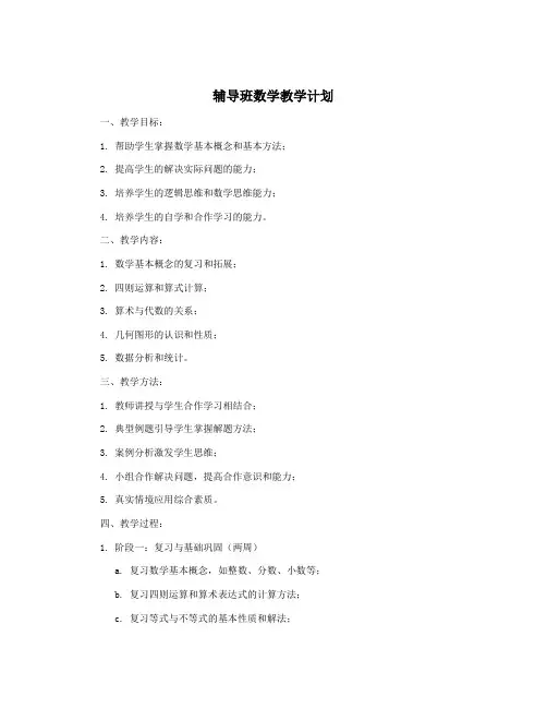 辅导班数学教学计划