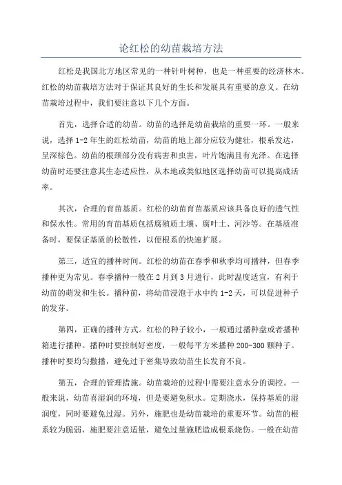 论红松的幼苗栽培方法