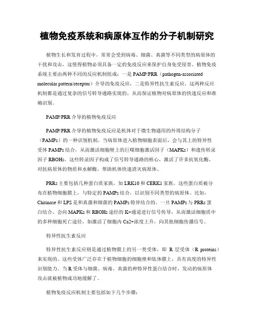 植物免疫系统和病原体互作的分子机制研究