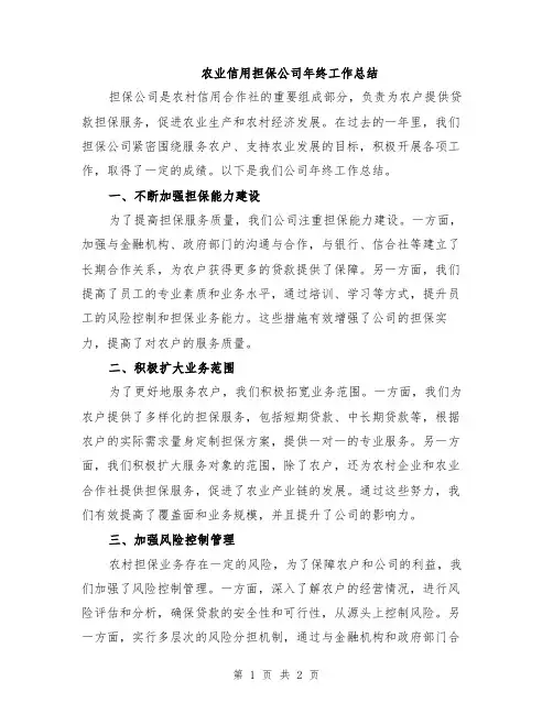 农业信用担保公司年终工作总结