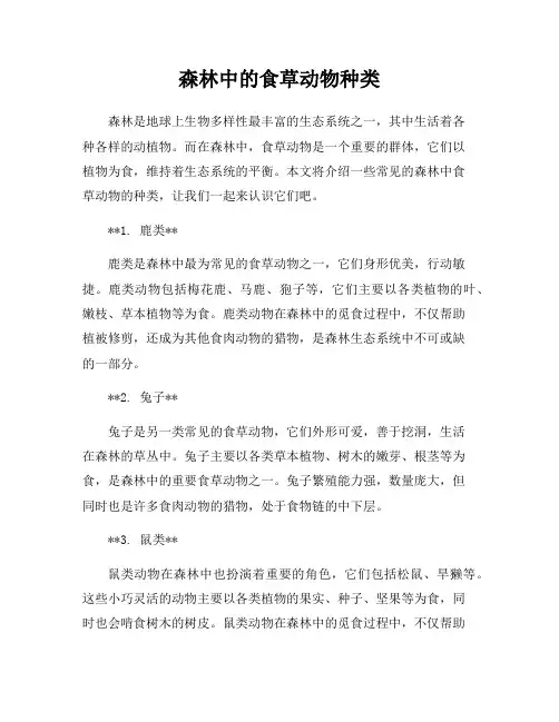 森林中的食草动物种类