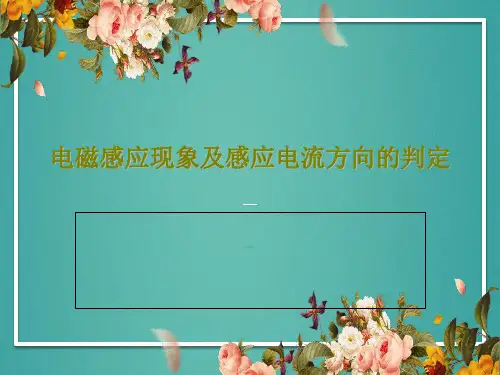 电磁感应现象及感应电流方向的判定21页PPT