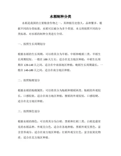 水稻制种分类